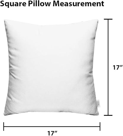 RSH DECOR: Sunbrella Square Throw Pillows Set of 2 | 17" x 17" | Water and Fade-Resistant Performance Fabric | Outdoor Pillow Covers with Down-Alternative Inserts | Dolce Oasis