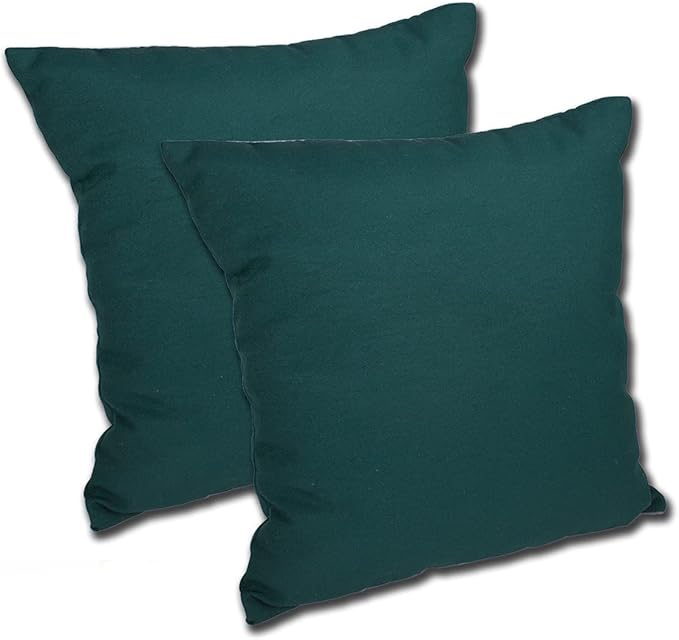 Comfort Classics Set of 2 16W x 16D x 5H Spun Polyester Outdoor Throw Pillow in Solid Spruce Inc.