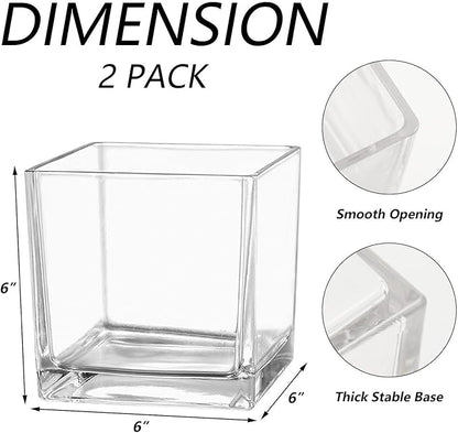 Square Clear Glass Vases Set of 2, 6" x 6" x 6" Square Vase for Centerpieces, Flower Vases for Centerpieces, Small Vase for Wedding, Party, Home Office Decoration