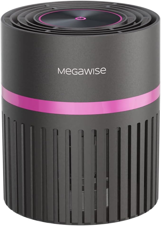 MEGAWISE Office Air Purifier