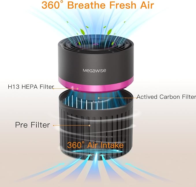 MEGAWISE Office Air Purifier