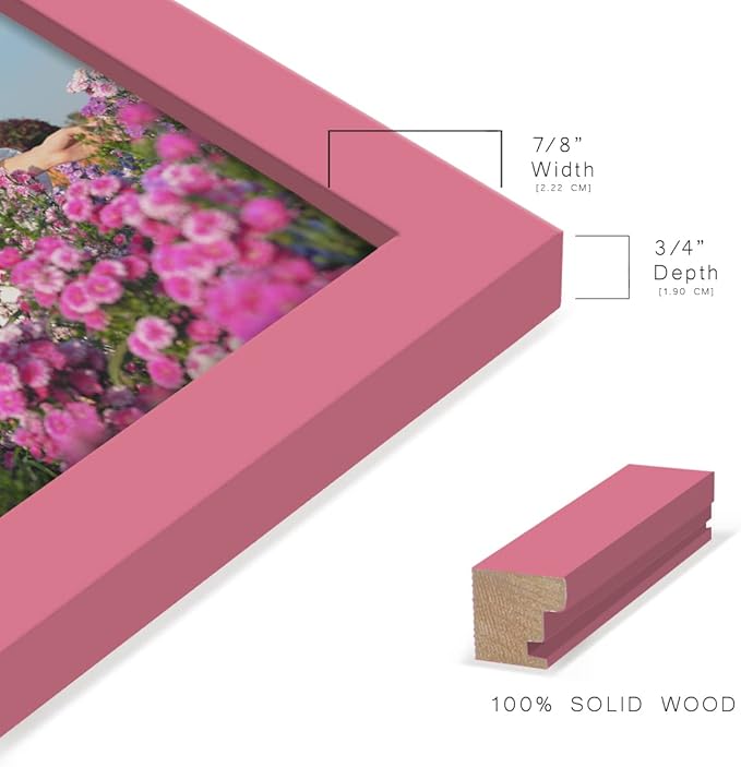 Renditions Gallery 5x7 inch Picture Frame High-end Modern Style, Made of Solid Wood and High Definition Glass Ready for Wall and Tabletop Photo Display, Hot Pink Frame