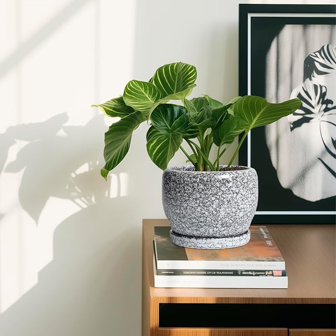 SQOWL Ceramic Pot for Plants - 6 Inch Ceramic Planter for Indoor Outdoor, Decorative Plant Pot with Drainage Hole and Saucer, Round Planter for Flower, Bedroom Decor, Garden Gifts, Black and White