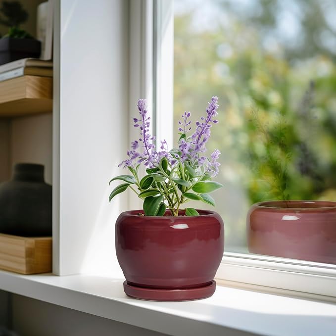 SQOWL 6 Inch Plant Pot - Ceramic Planter for Indoor Plants Outdoor, Round Planter with Drainage Hole and Saucer, Decorative Modern Small Flower Pots, Room Decor, Gifts for Plant Lovers, Red