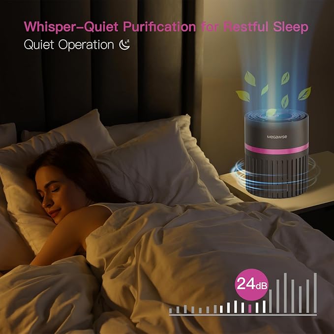 MEGAWISE Office Air Purifier