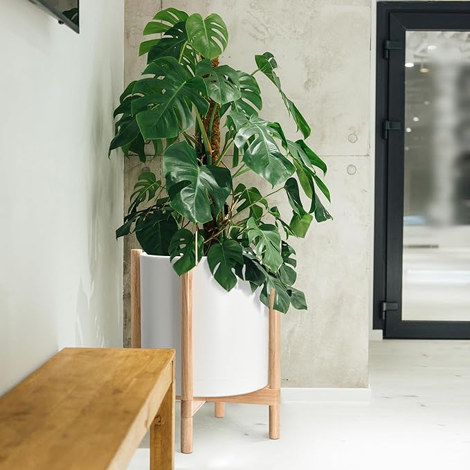 D'vine Dev Planter Pot with Stand - 16 Inch Plastic Cylinder Flower Pot with Wood Planter Holder for Indoor, Matte White Pot + Natural Stand, 55-C-Y-1
