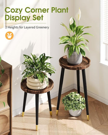 Plant Stand Indoor, Wood Mid Century Indoor Plant Stand, Tall Plant Stands for Flower Pot, Modern Round Plant Table, Small Side End Table with Raised Design, 1 Pack, Walnut, 11.7''x18.8''