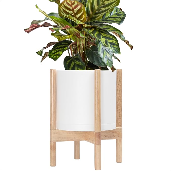 D'vine Dev Planter Pot with Stand - 10 Inch Plastic Cylinder Flower Pot with Wood Planter Holder for Indoor, Matte White Pot + Natural Stand, 55-C-M-1