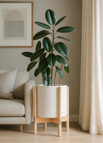 D'vine Dev Ceramic Planter with Natural Stand - 12 Inch Modern Round Flower Pot with Wood Planter Holder, Oatmeal, 55-B-J-8