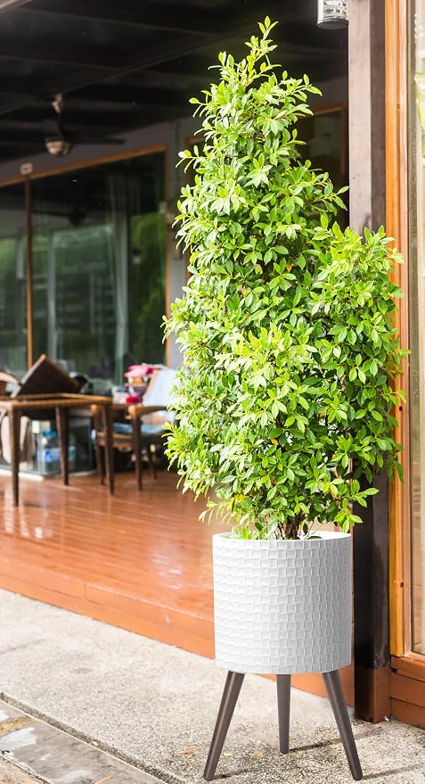D'vine Dev 12 Inch Modern Geometric Tile Patterned Sleek Planter Pot with Stand, Indoor Outdoor Decorative Plant Holder, Matte White, 88-Z-C-1