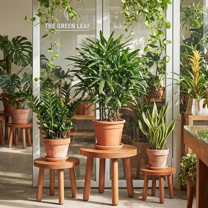 Pinkunn 3 Pcs Wood Plant Stand Indoor Plant Stand for 3-12 Inch Pots Mid-century Modern Plants Stool Plants Pot Holder Home Decor for Balcony Living Room Office Courtyard Detachable(Round Style)
