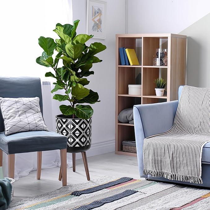 D'vine Dev 12 Inch Planter Pot with Stand, Mid-Century Tall Plant Pot with Legs for Indoor Plants, White/Black, 88-G-C-4